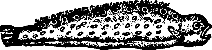 114/114960020001950_0.png