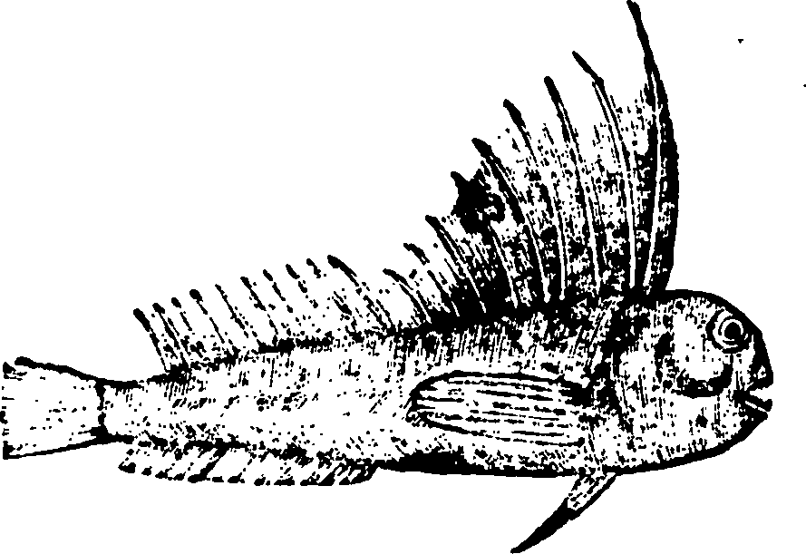 114/114960020001960_0.png