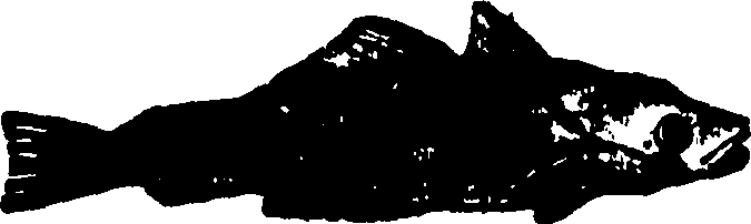 114/114960020001970_0.png