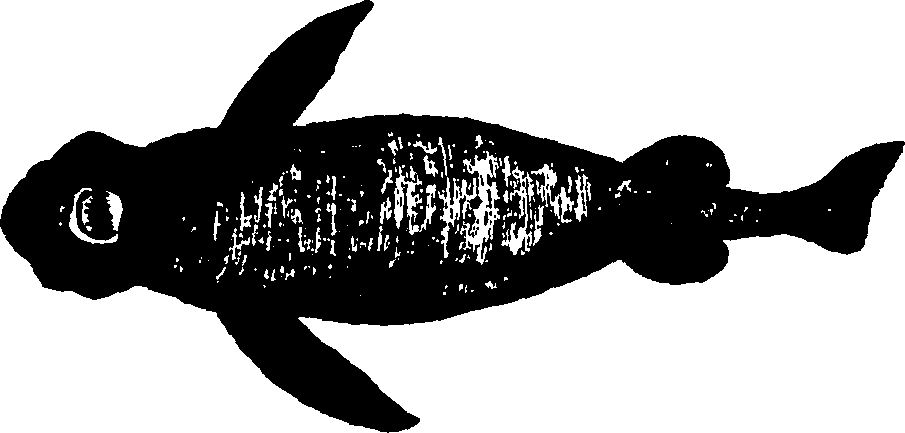 114/114960020001970_1.png