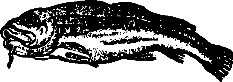 114/114960020001980_0.png