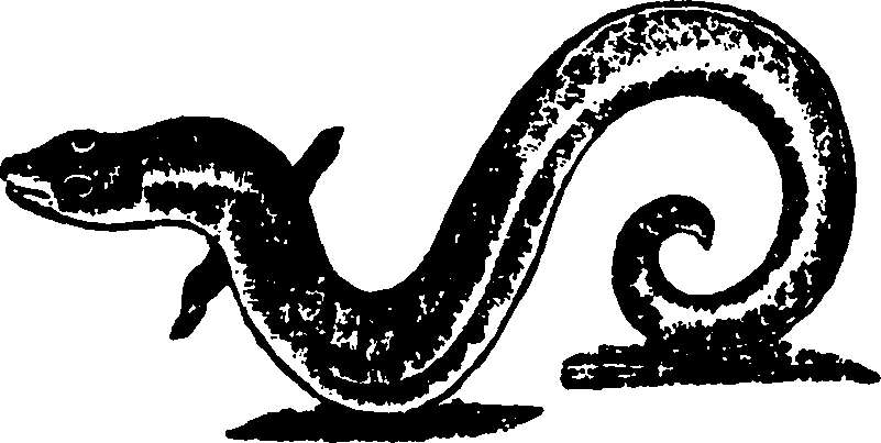 114/114960020002020_0.png