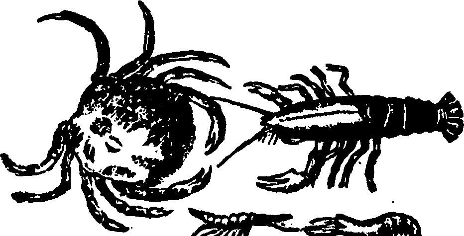 114/114960020002030_0.png