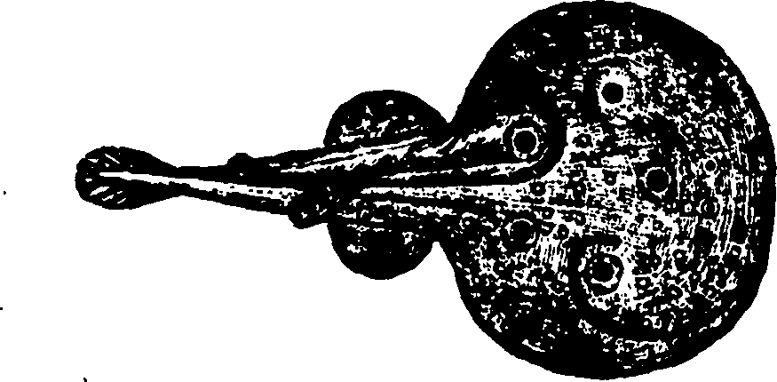 114/114960020002050_0.png