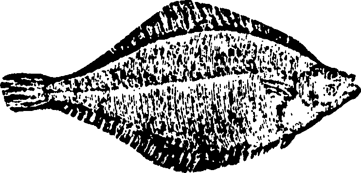 114/114960020002070_0.png