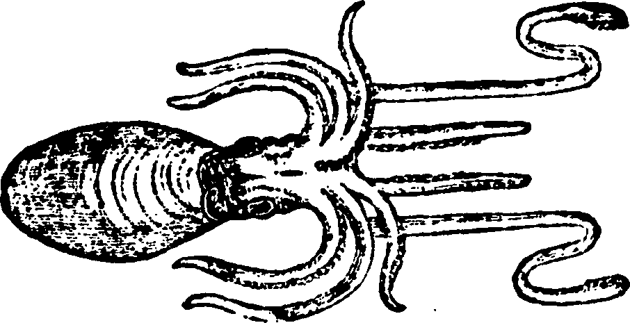 114/114960020002070_1.png
