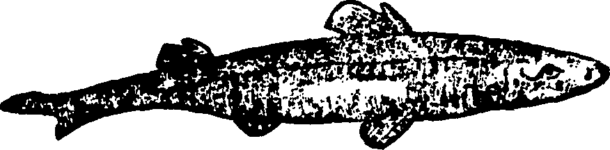 114/114960020002080_0.png