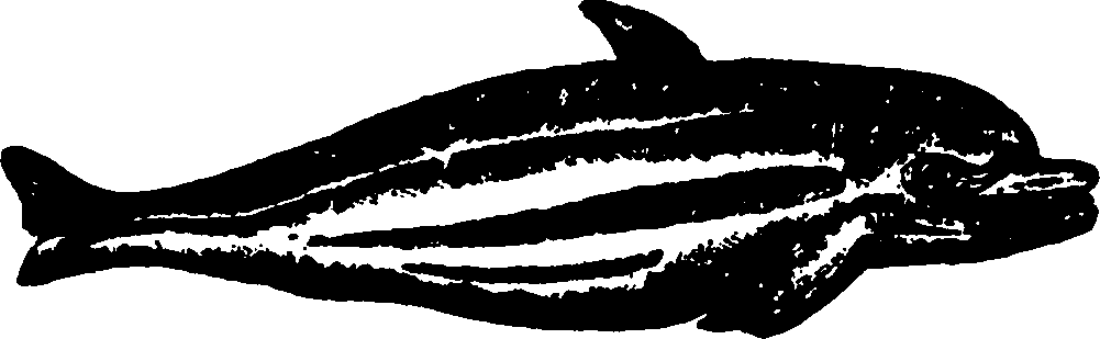 114/114960020002090_0.png