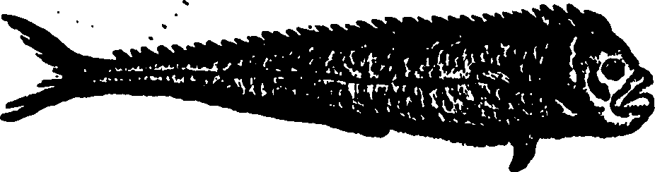 114/114960020002100_0.png