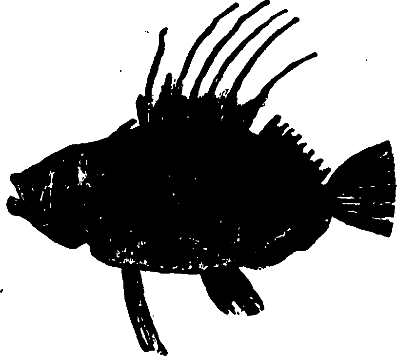 114/114960020002110_0.png