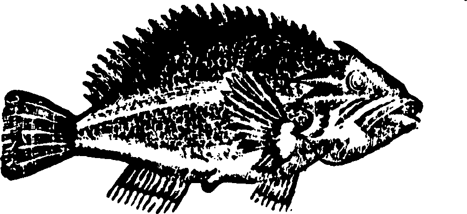 114/114960020002120_0.png