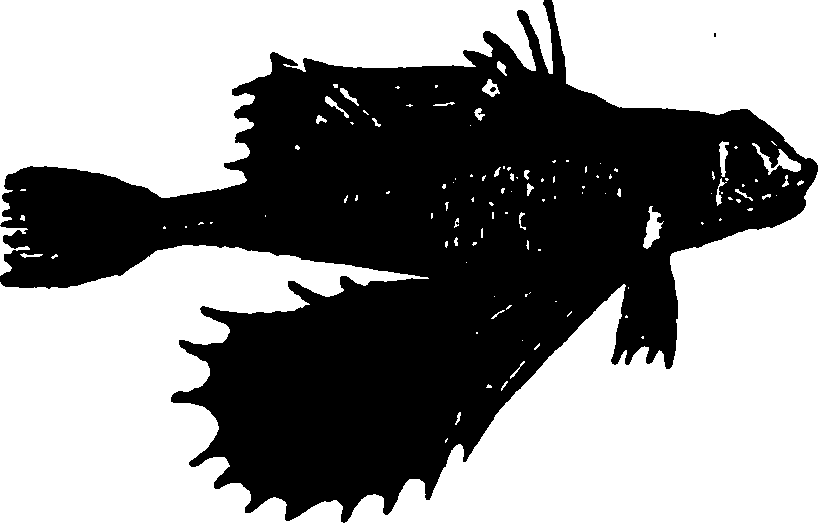 114/114960020002130_0.png