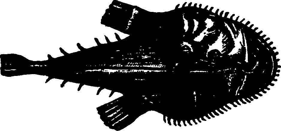 114/114960020002140_0.png