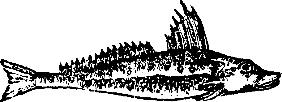 114/114960020002150_0.png