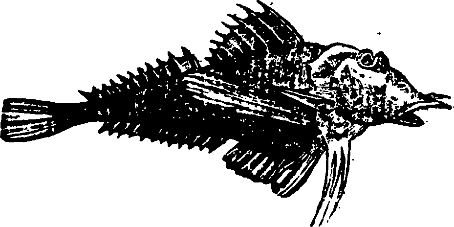 114/114960020002160_0.png