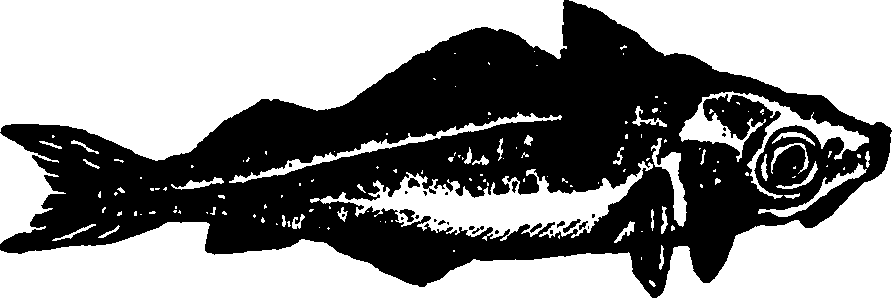 114/114960020002170_0.png