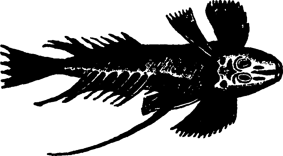 114/114960020002170_1.png
