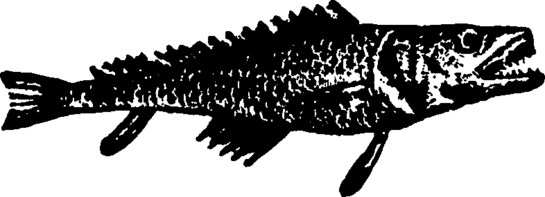 114/114960020002180_1.png