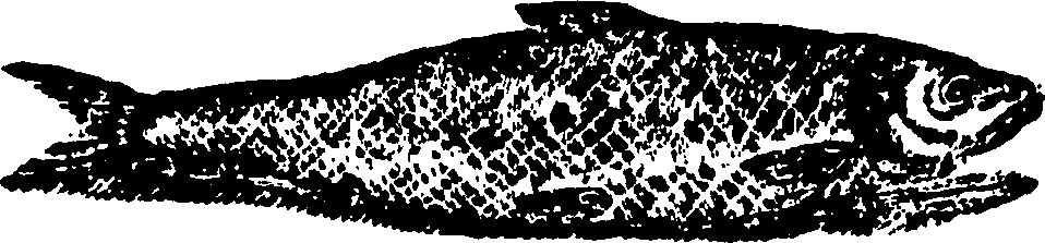 114/114960020002190_0.png