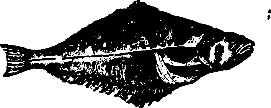 114/114960020002190_1.png
