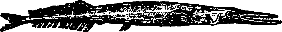 114/114960020002220_0.png