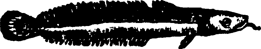114/114960020002230_0.png