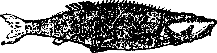 114/114960020002230_1.png