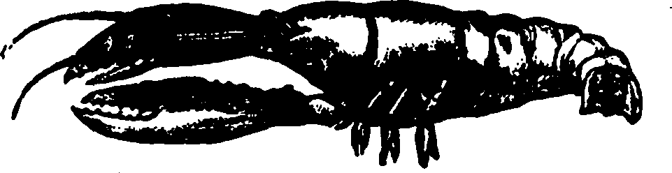 114/114960020002240_0.png