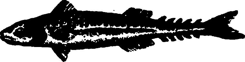 114/114960020002250_0.png