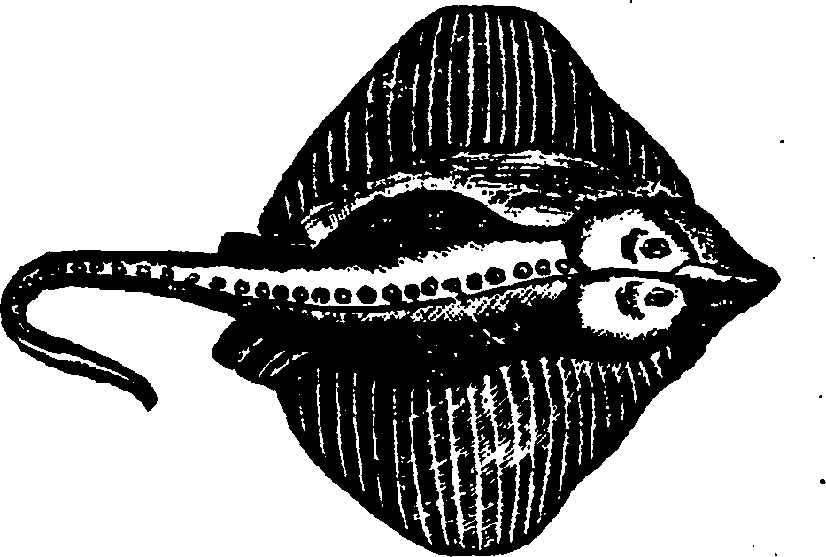 114/114960020002270_0.png