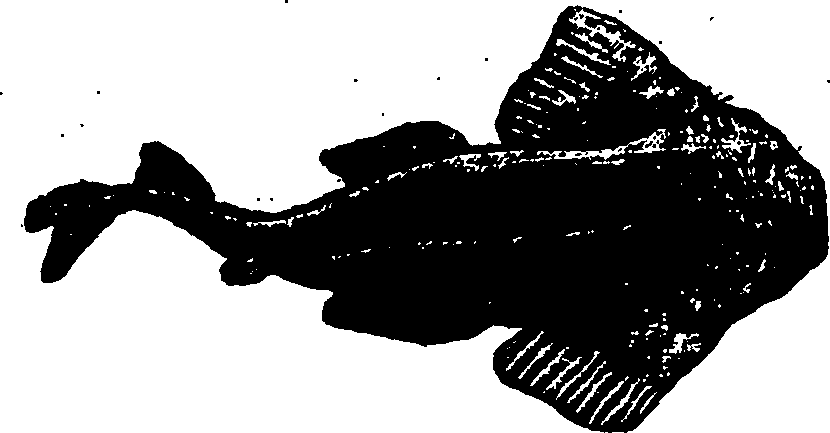 114/114960020002280_0.png