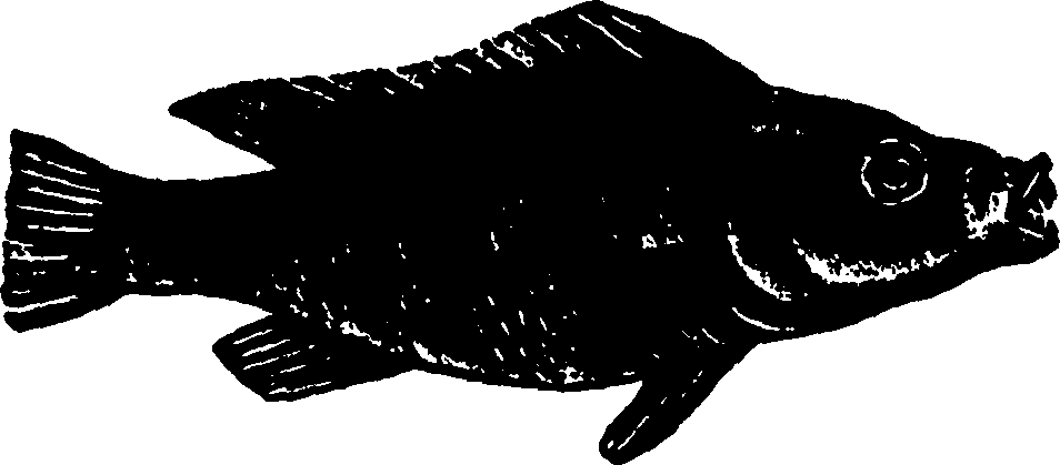 114/114960020002290_1.png