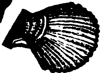 114/114960020002300_0.png