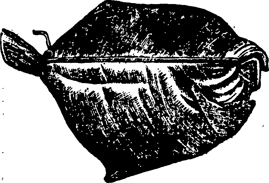 114/114960020002320_0.png