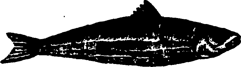 114/114960020002330_0.png