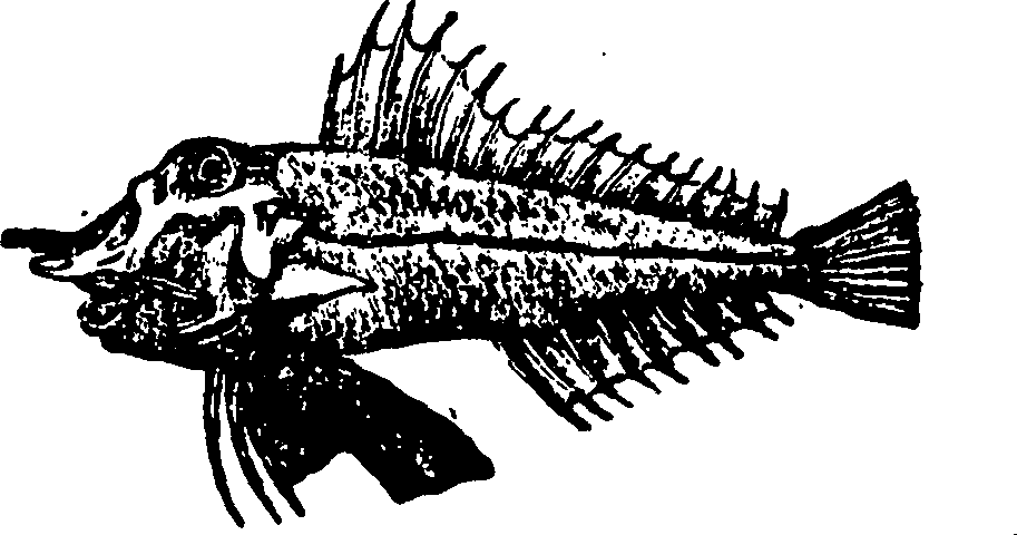 114/114960020002350_0.png