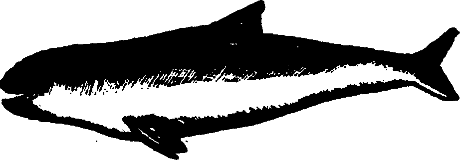 114/114960020002370_0.png