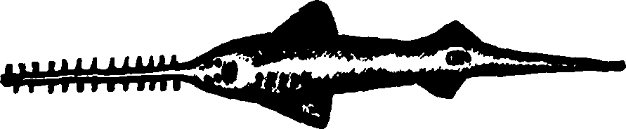 114/114960020002380_0.png