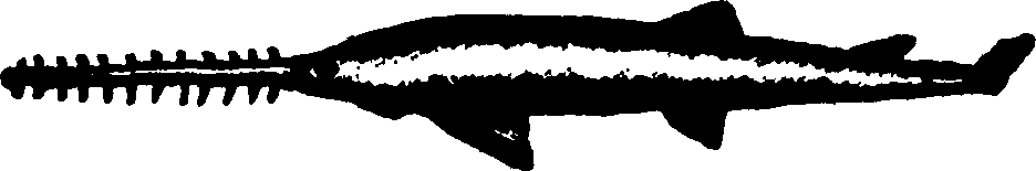 114/114960020002380_1.png