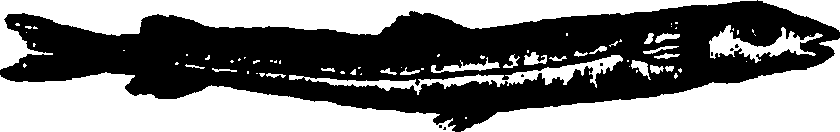 114/114960020002380_2.png