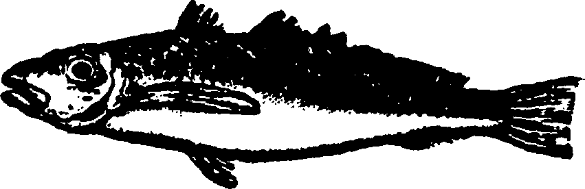 114/114960020002390_0.png