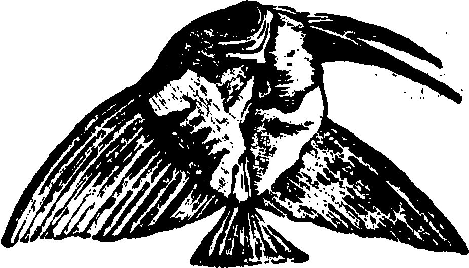 114/114960020002400_0.png