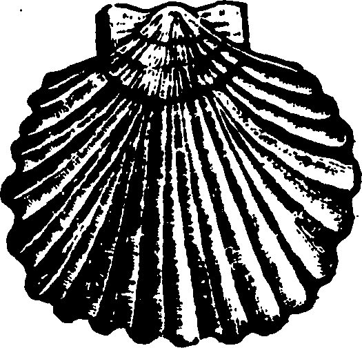114/114960020002400_1.png