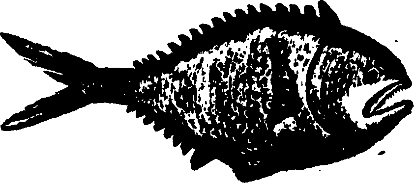 114/114960020002410_0.png