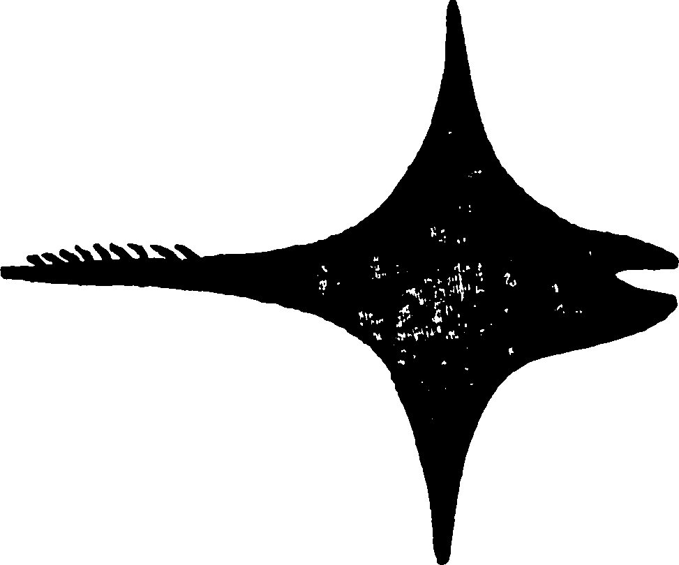 114/114960020002420_0.png