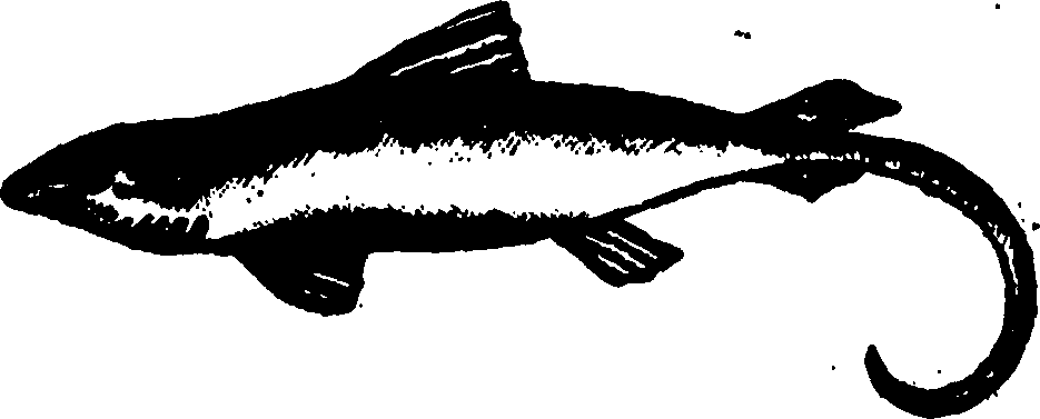 114/114960020002430_0.png