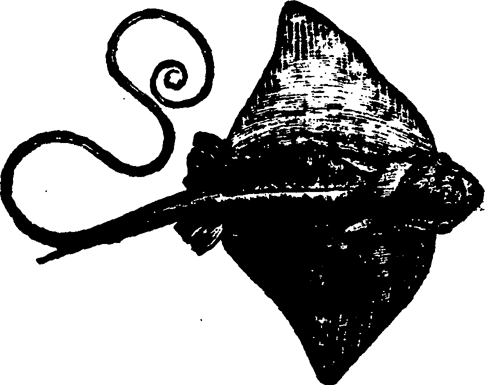 114/114960020002430_1.png