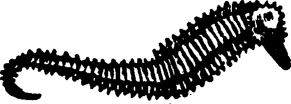 114/114960020002440_0.png