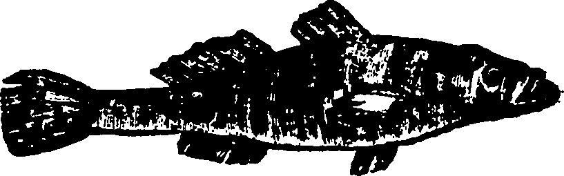 114/114960020002440_1.png