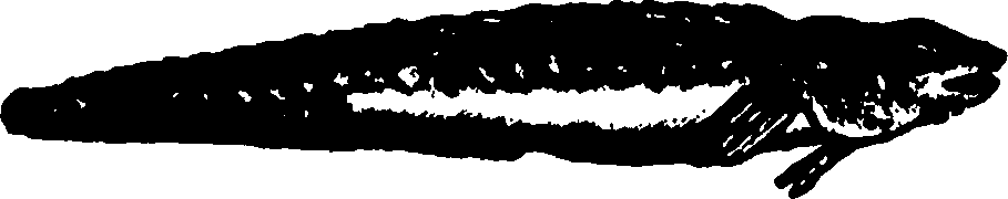 114/114960020002450_0.png